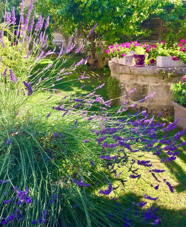 La Maison Du Bourg B&B Puisseguin Εξωτερικό φωτογραφία